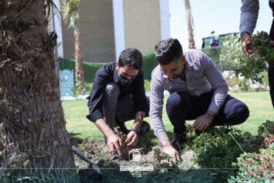 أخبار 5