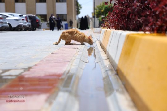 أخبار 7