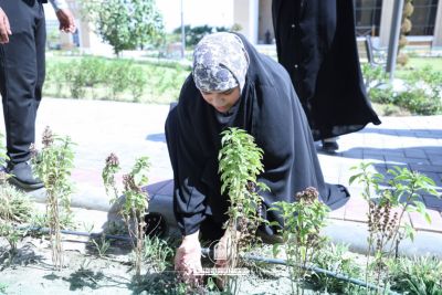 أخبار 3