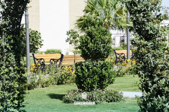 أخبار 3