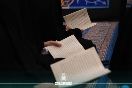 أخبار 11