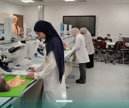 أخبار 6