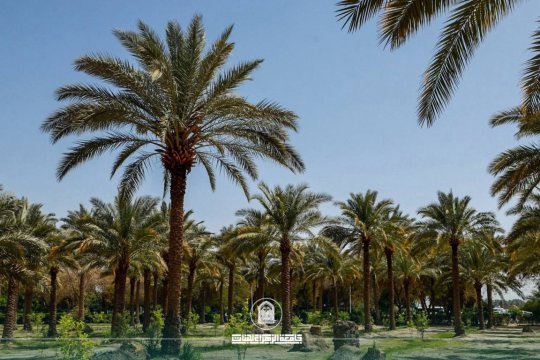 أخبار 1